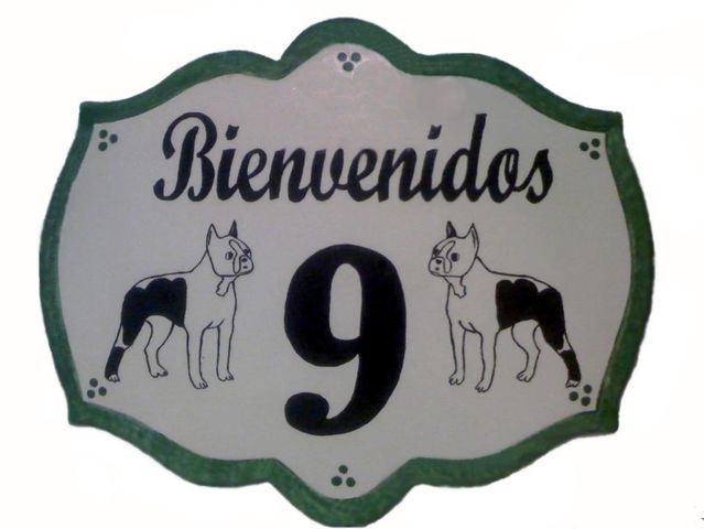 Sin Nombre